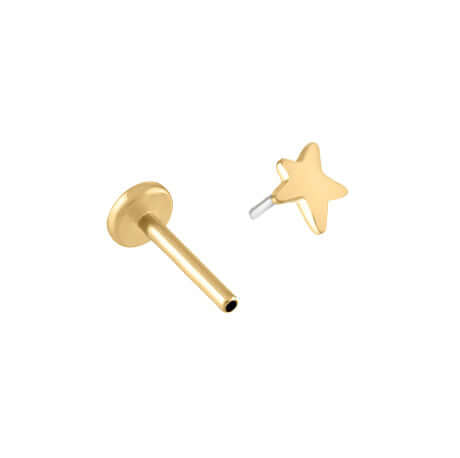 Trendolla Gold Star Tragus Sleeper Earrings